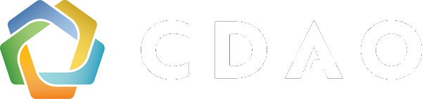 Chief Digital and Artificial Intelligence Office