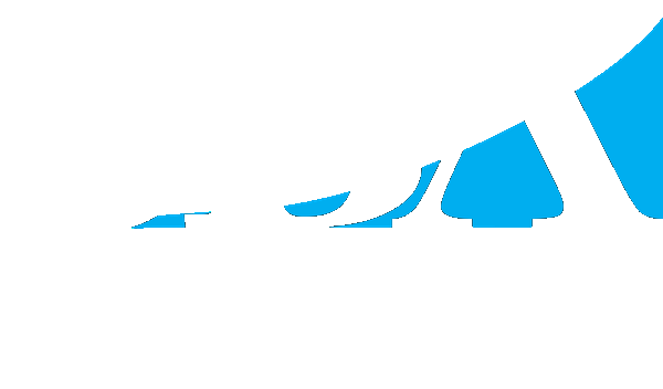 SBA Small Disadvantaged Business